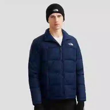 THE NORTH FACE Logo