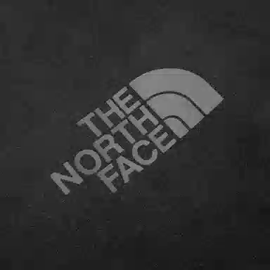 THE NORTH FACE LogoT