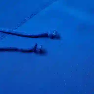 adidas originals Vocal J Hoody