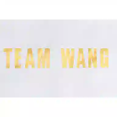 TEAM WANG design