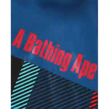 A BATHING APE Sakura Check Down Jacket