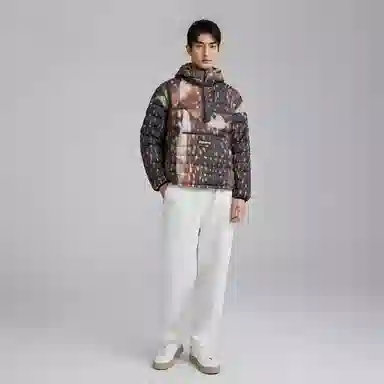 Supreme Micro Down Half Zip Hooded Pullover