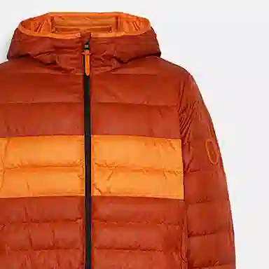 COACH FW22 Logo