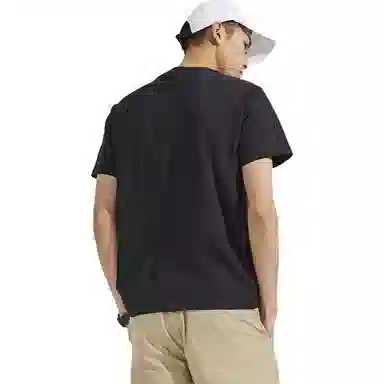 Dickies SS22 logoT