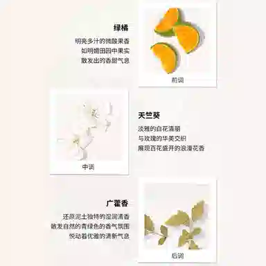 Maison Margiela From the Garden EDT