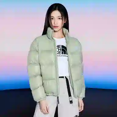 The North Face Nuptse Green