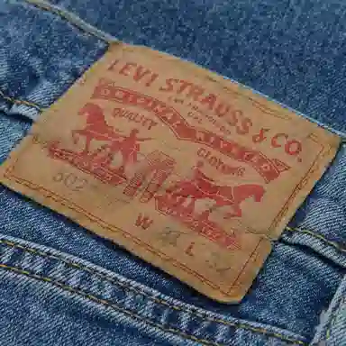 levis FW22