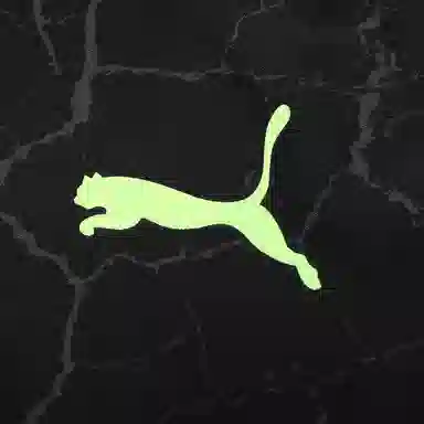 PUMA x TMNT Relaxed Pants