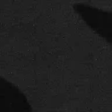 THE NORTH FACE TNF x KAWS FW22 1995 Denali Logo