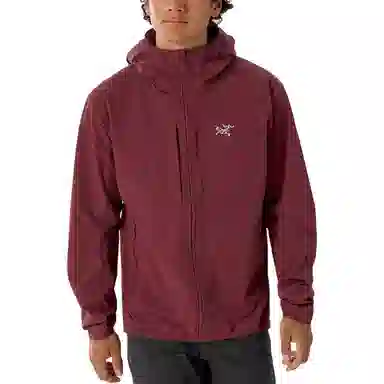 Arcteryx GAMMA FW25 Hoody Logo