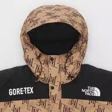 The North Face GORETEX600 Almond