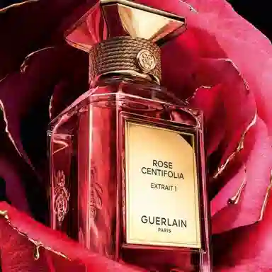 Guerlain Rose Centifolia Extrait 1