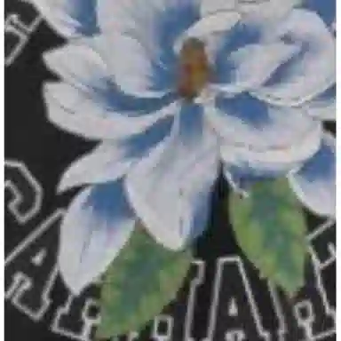 Carhartt WIP x Awake NY Hoodie Black