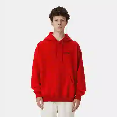 Supreme FW24 WEEK4 Anarchy Hooded Sweatshirt