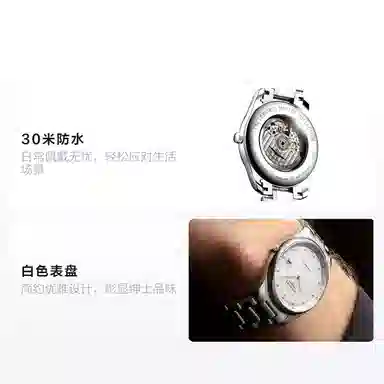 Longines Master Collection L2.893.4.77.6