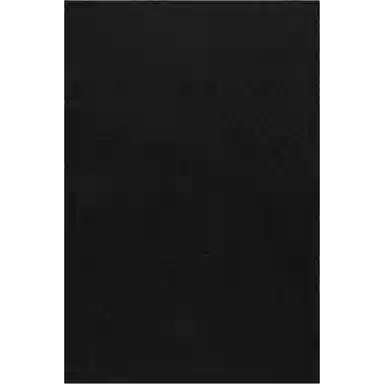 TEAM WANG The Original 1 Black