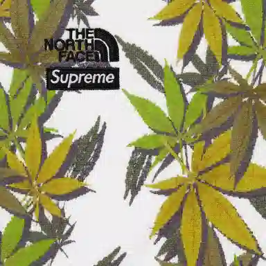 Supreme x The North Face FW23 Hoodie