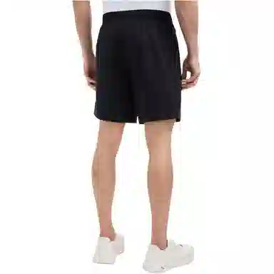 DESCENTE TRAINING UPF100+