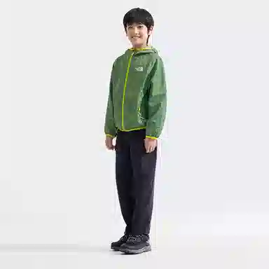 THE NORTH FACE Cyclone Logo