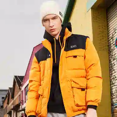 Dickies