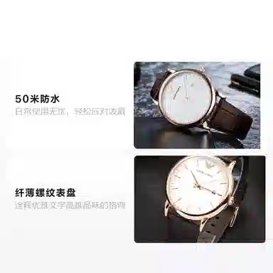 Emporio Armani AR2502