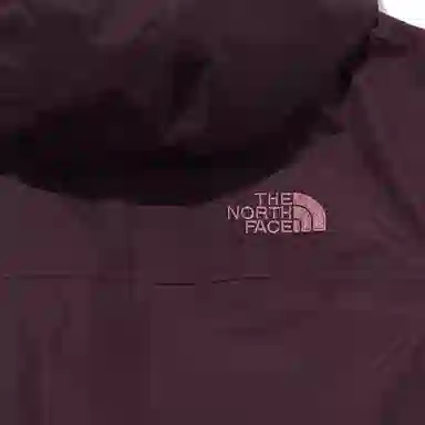 THE NORTH FACE Logo