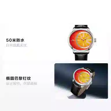 Sea-Gull 839.91.1088