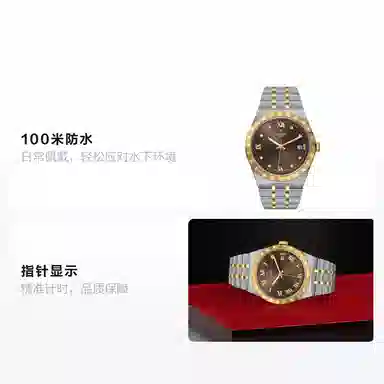 Tudor Royal M28503-0008