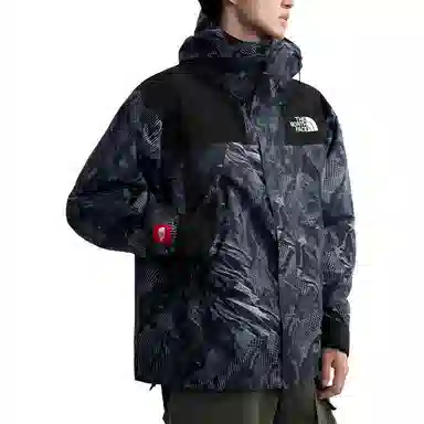 THE NORTH FACE ICON
