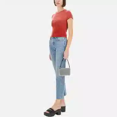 alexander wang Logo T