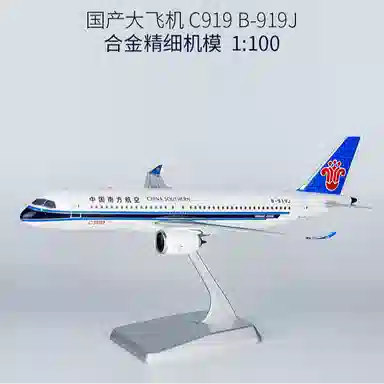 C919 1100