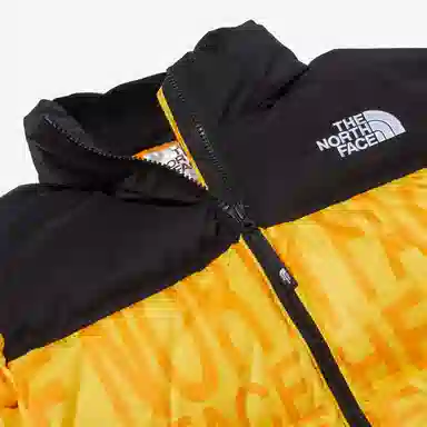THE NORTH FACE Logo
