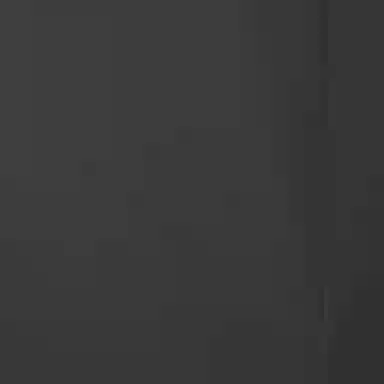 Skechers SS25 Logo 0018