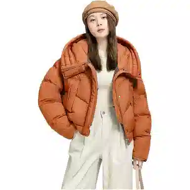 鸭鸭 韩版连帽加厚休闲时尚纯色短款长袖羽绒服 女款