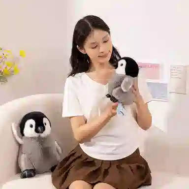 20cm30cm