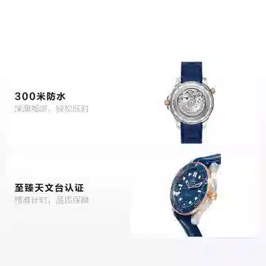 OMEGA Seamaster 210.22.42.20.03.002