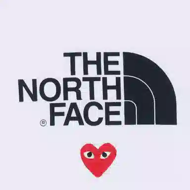 CDG Play x The North Face play together LogoT