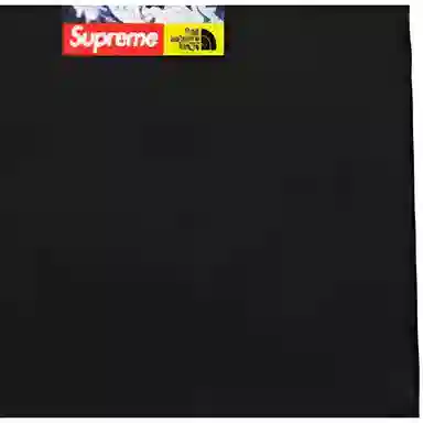 Supreme x The North Face FW17 Snow Mountain Tee Black