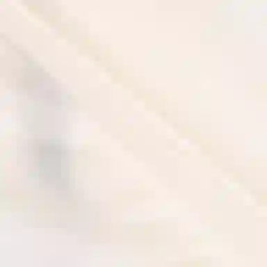 Converse Winter Fleece Jacket White