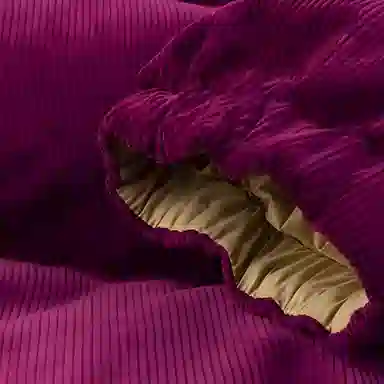 THE NORTH FACE NUPTSE 1992 FW23