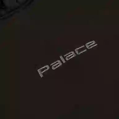 PALACE FW24 BAFFLED FONT HOOD