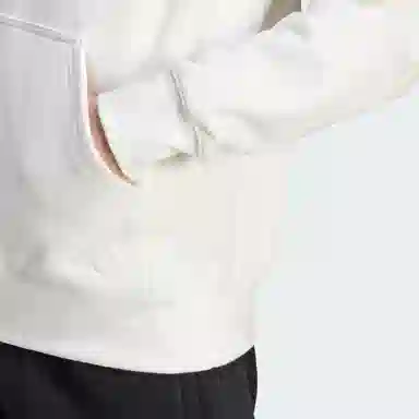 adidas originals Blue Version Essentials Hoodie