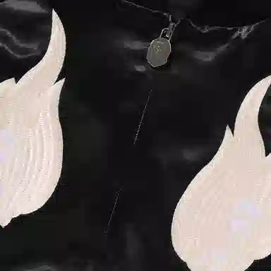 A BATHING APE FW25 FW25