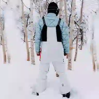 Burton GORETEX Circus Tricolor 2L