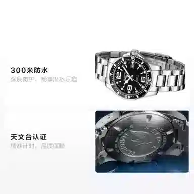 LONGINES 39mm L3.741.4.56.6