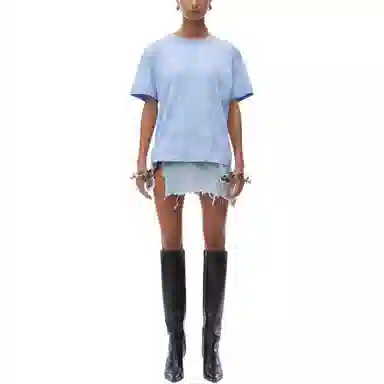 alexander wang FW24T