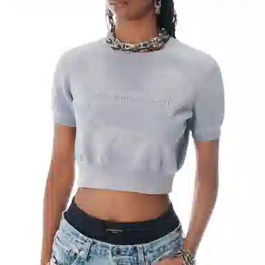 alexander wang FW25 T