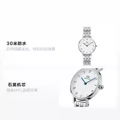 Daniel Wellington DW Petite Lumineux Silver