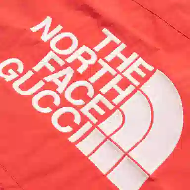 Gucci x The North Face SS22 Red Hoodie Jacket