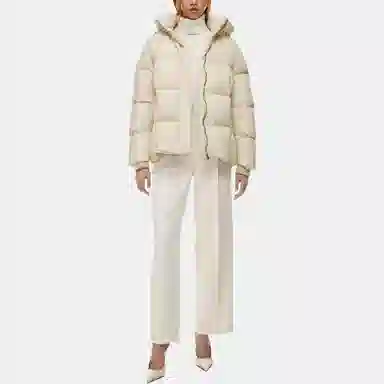 ARITZIA Babaton Crown Puffer